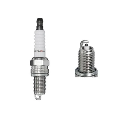Nickel Spark Pugna DCPR6E 3481