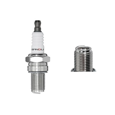 Platinum Spark Bug Pluna BR10ECMVX 2457